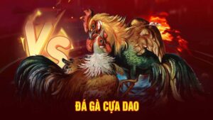 Đá gà cựa dao - Thể loại cá độ đẳng cấp tại nhà cái SV88 11 Thể thao đá gà cựa dao